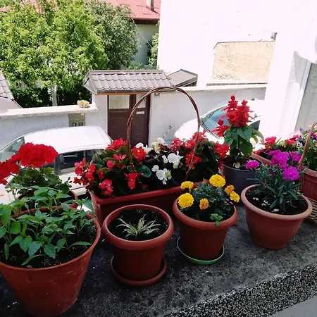 Apartment Ohren