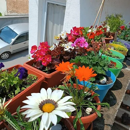 Daire Ohren Saraybosna