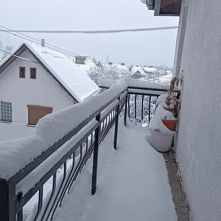 Ohren Saraievo