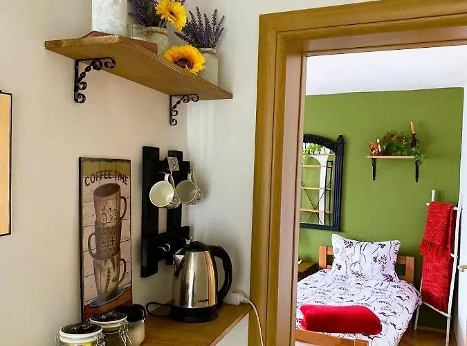 Ohren * 塞拉耶佛