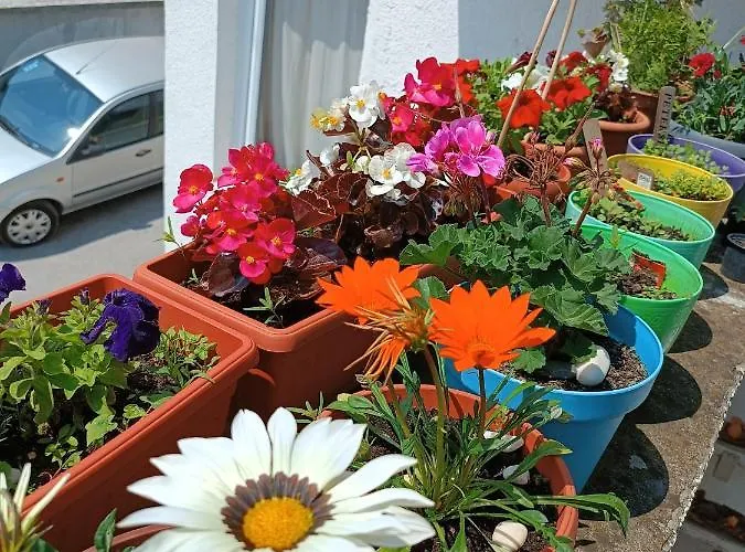 公寓 Ohren 塞拉耶佛